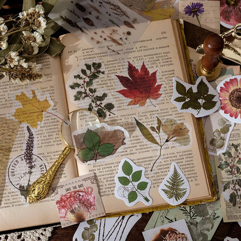 60-Piece Vintage Sticker Pack – Mushrooms, Plants & Butterflies